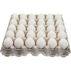 Fresh Chicken Table Eggs Farm Fresh Quality