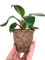 Bio Pots