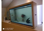 Transparent Display Factory Price Transparent Display  LCD Transparent Screen  Transparent Display Supplier