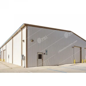Steel Structure Warehouse/Workshop/Building