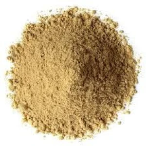 Bulk Organic Ginger Powder Wholesale Price