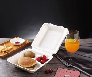 Disposable Biodegradable Sugarcane Bagasse 9x9 Inch Food Container Box