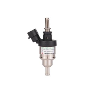 LPG CNG injector for passenger car (H2001)