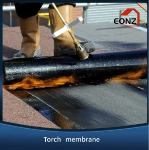 SBS/APP Modified Bitumen Waterproof Membrane