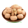 lower price, light kernel, Chandler XIN2 inshell walnut
