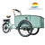 Import OEM Acceptable 3 wheel electric cargo bike from China