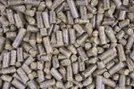 Sugar Beet Pulp Pellets