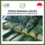Banana Leaves Fresh Small Size Lenght 70 cm Width 10 cm