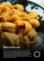 Frozen Sea urchin roe (Uni)