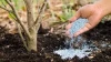 Fertilizer