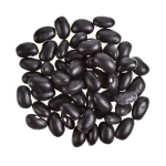Black Bean Bulk Fresh High Quality Black Bean Natural Organic Premium Product