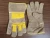 Import work wear gloves custom designs from Pakistan