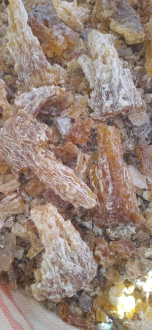 Frankincense Frereana