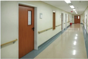 Stainless Steel Manual Swing Hermetic Hospital Door For Ward