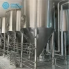 100 200 300 400 500 Liters Conical Cone Fermenter Beer Industry Fermentation Brewing Tank