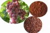 100% Pure natural grape seed extract 95% opc