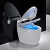 110V/220V Cheap bathroom one piece bidet wc ceramic intelligent automatic smart toilet with sensor