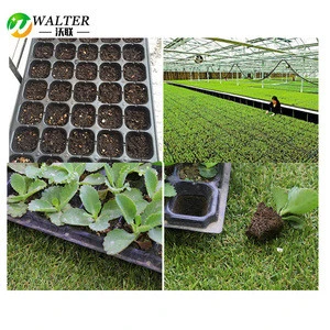 128 Cell PS Plastic Plug Seed Starting Grow Germination Tray for Greenhouse Vegetables Nursery