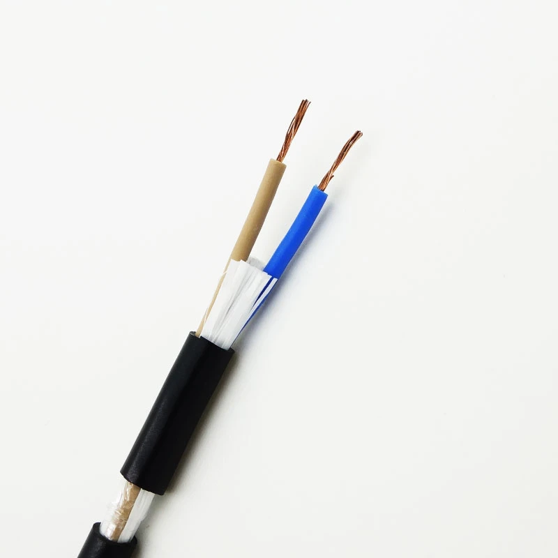 2 Core Shielded Cable 2*1.5mm and 2*2.5mm Electrical Cable