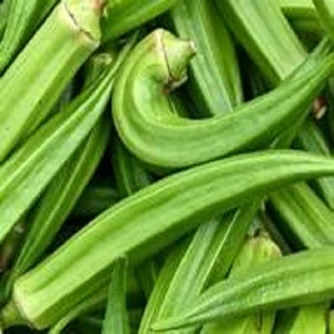 2018 new IQF frozen okra for export sell