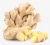 Import 2020 High Quality Fresh Organic Ginger from Poland