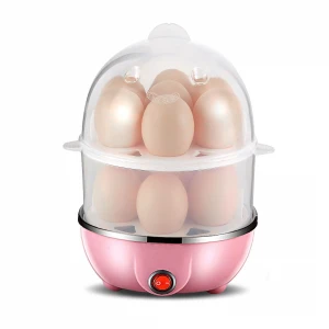 2020 New Product Stainless Steel Egg Boiler Egg Steamer Mini Electric Boiler for Family