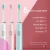 Import 2021 Adult Sonic electricToothbrush With 2 Toothbrush Head Cepillo De Dientes Oral Care Tooth Brush Eco Friendly Toothbrush from China