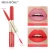 Import 33# Waterproof Double Ended Long Lasting Nude Best price China cosmetics factory 2 in 1 matte lip gloss and liner from China