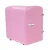 Import 4l China supplier peltier car home use cooler mini refrigerators from China