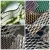 Import 50*100mm powder coated wire mesh fence/aluminum curtain wall / expanded metal mesh from China