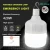 Import 60W 80W 120W LED Rechargeable Emergency Light A19 A60 Intelligent LED Emergency Bulb from China
