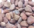 Import A grade quality decorative pebbles from China