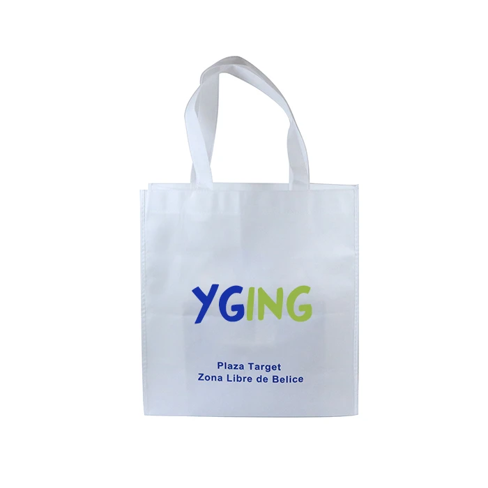 Accept Custom Logo Eco Friendly PP Non Woven Bags Fashion Style Shopping Bags