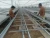 Import Adjustable Ebb and Flow Bench Systems Rolling Table Top Benches Commercial Growing Flat Movable Bench for Greenhouse Supplies from China