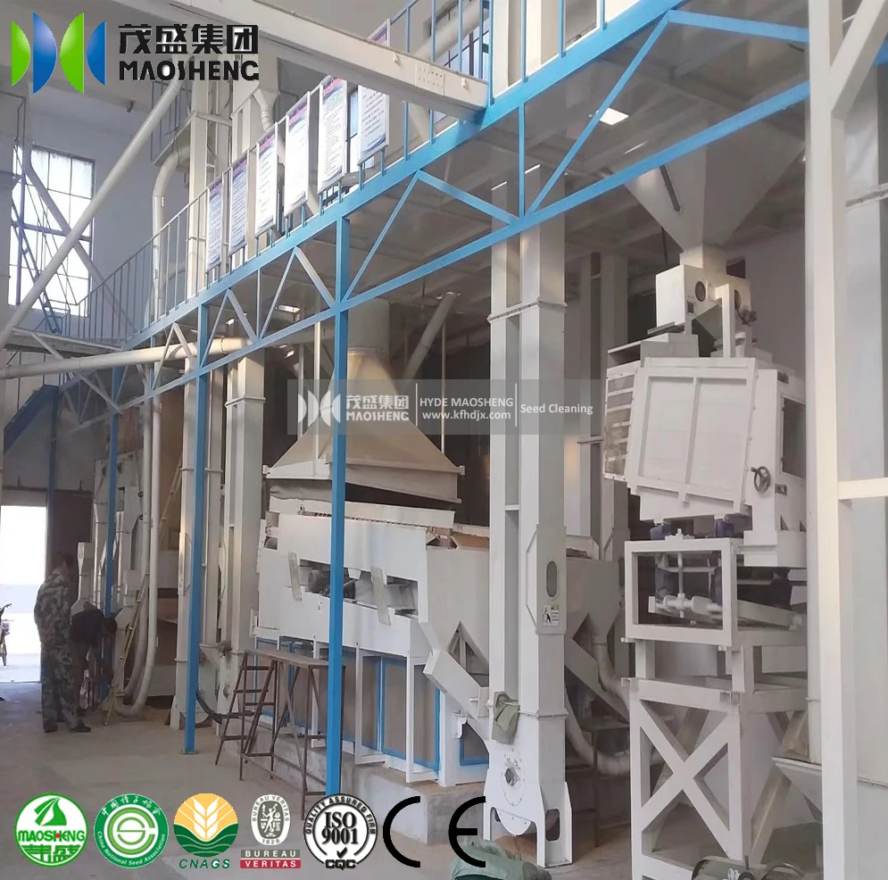 Agricultural Machinery Seed Gravity Separator Sesame Maize Quinoa Chia Seed Grain Bean Cleaning Line Seed Cleaning Plant