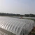 Import Agricultural/Commercial Single Span/Cheap Tunnel/Gothic Plastic Film Hydroponic Greenhouse for Tomatoes Lettuce Cucumber from China