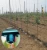 Import Agriculture farm drip irrigation systems with round dripper from China