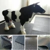 Animal Livestock New Rubber Product- Diamond With Hammer Top Cow Matting Put On Aisle