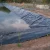 Import ASTM Standard 3m Wide EPDM Fish Farm Pond Liner/Artificial Lake Geomembrane from China