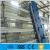 Import automatic egg collection chicken farm in malaysia from China