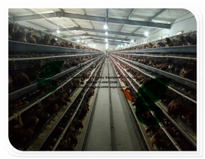 automatic ventilation fan cooling pads for poultry farming business