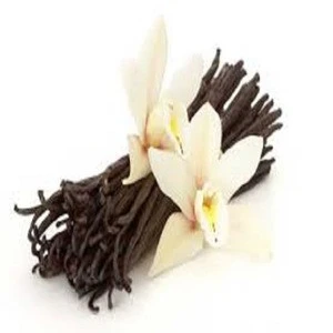 best quality vanilla beans wholesale for sale