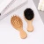 Import Best Selling 100% Eco friendly Custom LOGO Natural Bristle Bamboo Scalp Massager Hair Brush Small Wild Boar Bristle Brush comb from China