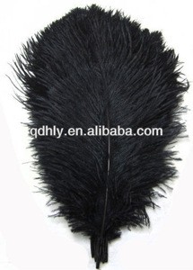 black large ostrich feather