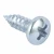 Import blue-white zinc Cross recessed pan head self-tapping screw from China