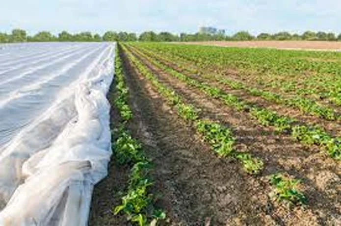 Breathable biodegradable crop cover non-woven fabric for agriculture cover