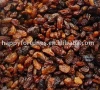 Brown Raisins sultana raisins red grape seedless raisin dried fruit snack fruit