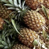 Bulk pineapple / Fresh pineapple exporters / Pineapple export boxes