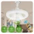 Import ceiling fan with led light, New with Remote Control and Light LED Fan E27 Converter Base Smart Silent Ceiling Fans for Bedroom Living Room Lamp Plastic 90 from China