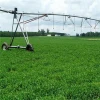 Center pivot irrigation system/watering machine/farm irrigation sprinkler plant